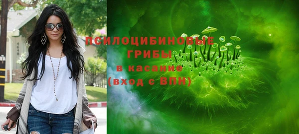 spice Елизово
