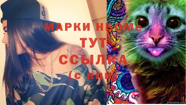 spice Елизово
