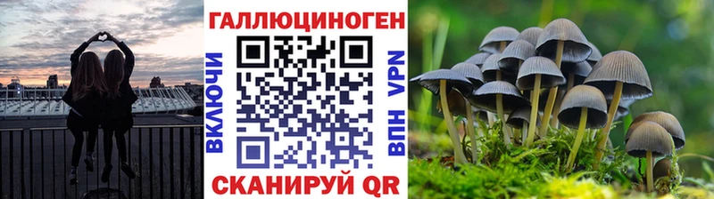 Галлюциногенные грибы прущие грибы  Купить  Таганрог 